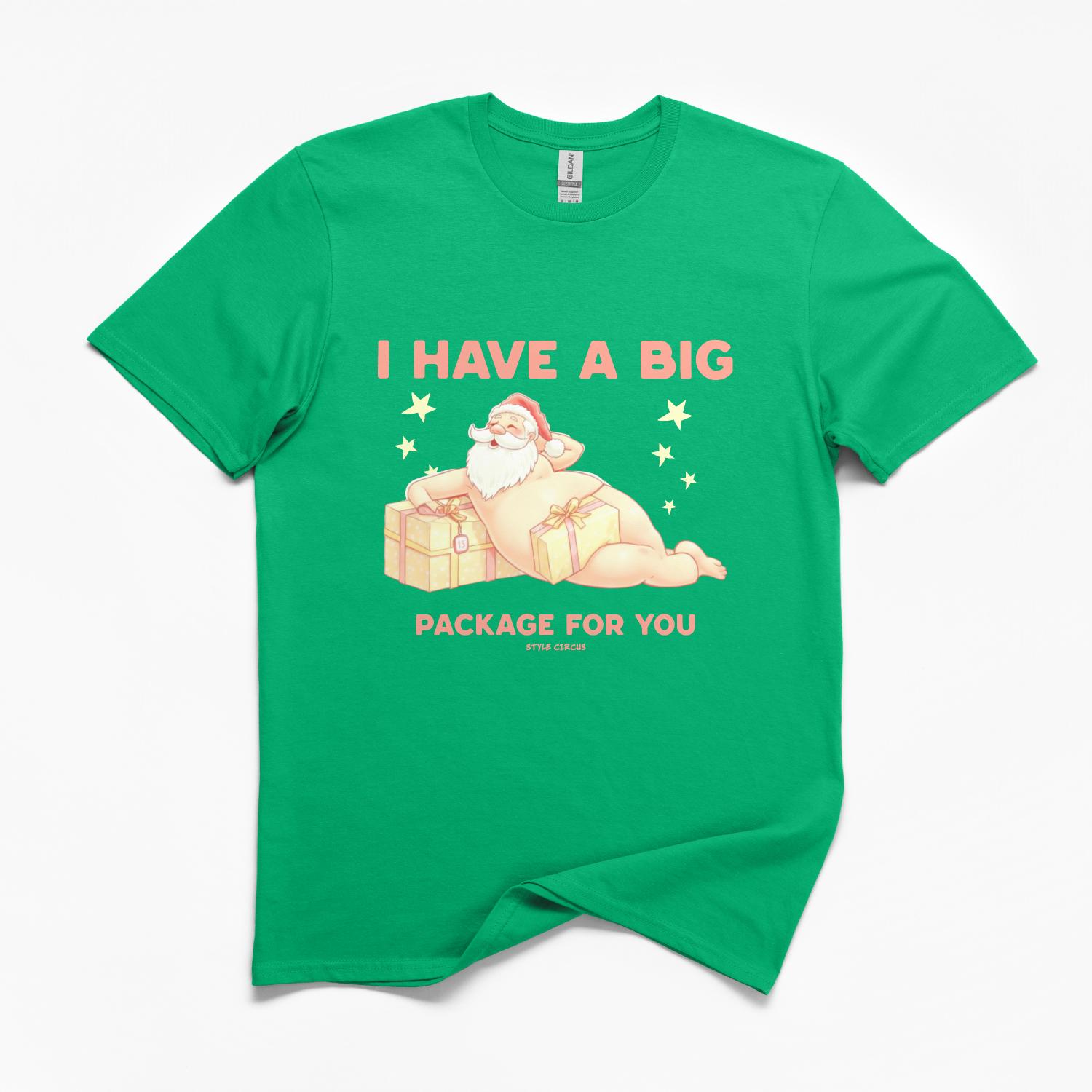 Big Christmas Package T-Shirt