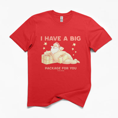 Big Christmas Package T-Shirt